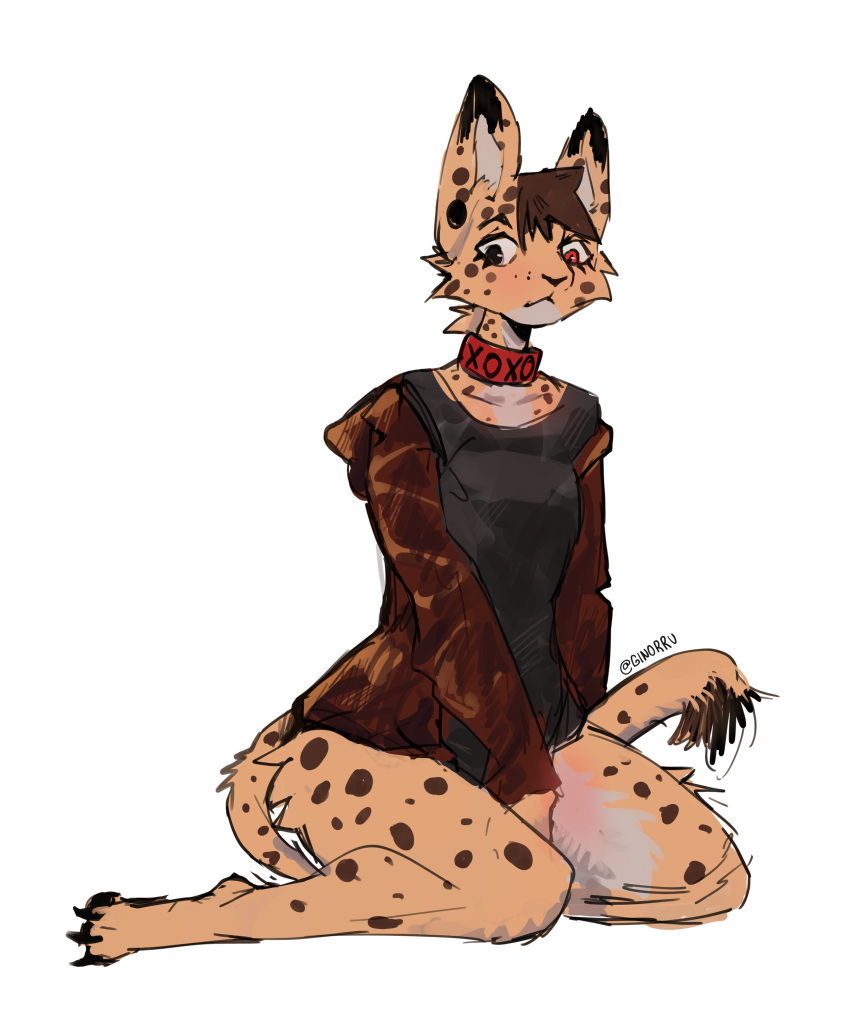 absurd_res anthro blush bottomless bottomless_anthro bottomless_female butt clothed clothing collar covering covering_crotch covering_self digital_media_(artwork) domestic_cat ear_piercing felid feline felis female fur ginorru heterochromia hi_res looking_at_viewer mammal markings piercing pose serval simple_background solo spots spotted_markings spotted_tail suggestive tail tail_markings topwear