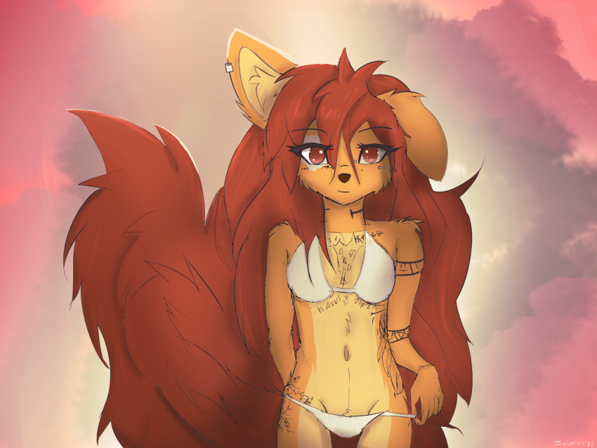 anthro apogee_(tinygaypirate) bikini brown_eyes canid canine clothing female hair hi_res joeumbre long_hair long_tail mammal solo swimwear tail tattoo