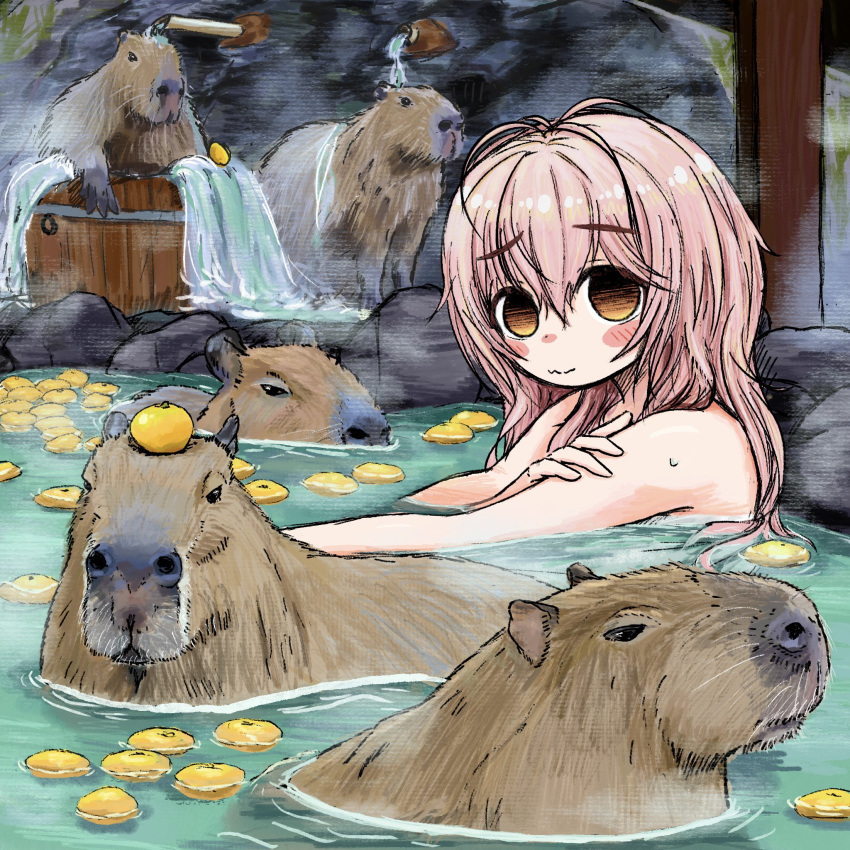 1girl animal bathing blush bubbacterial bucket capybara character_request closed_mouth food fruit highres long_hair looking_at_viewer nude onsen orange_eyes original outdoors partially_submerged pink_hair sitting solo water wavy_mouth wet yuzu_(fruit) yuzu_bath