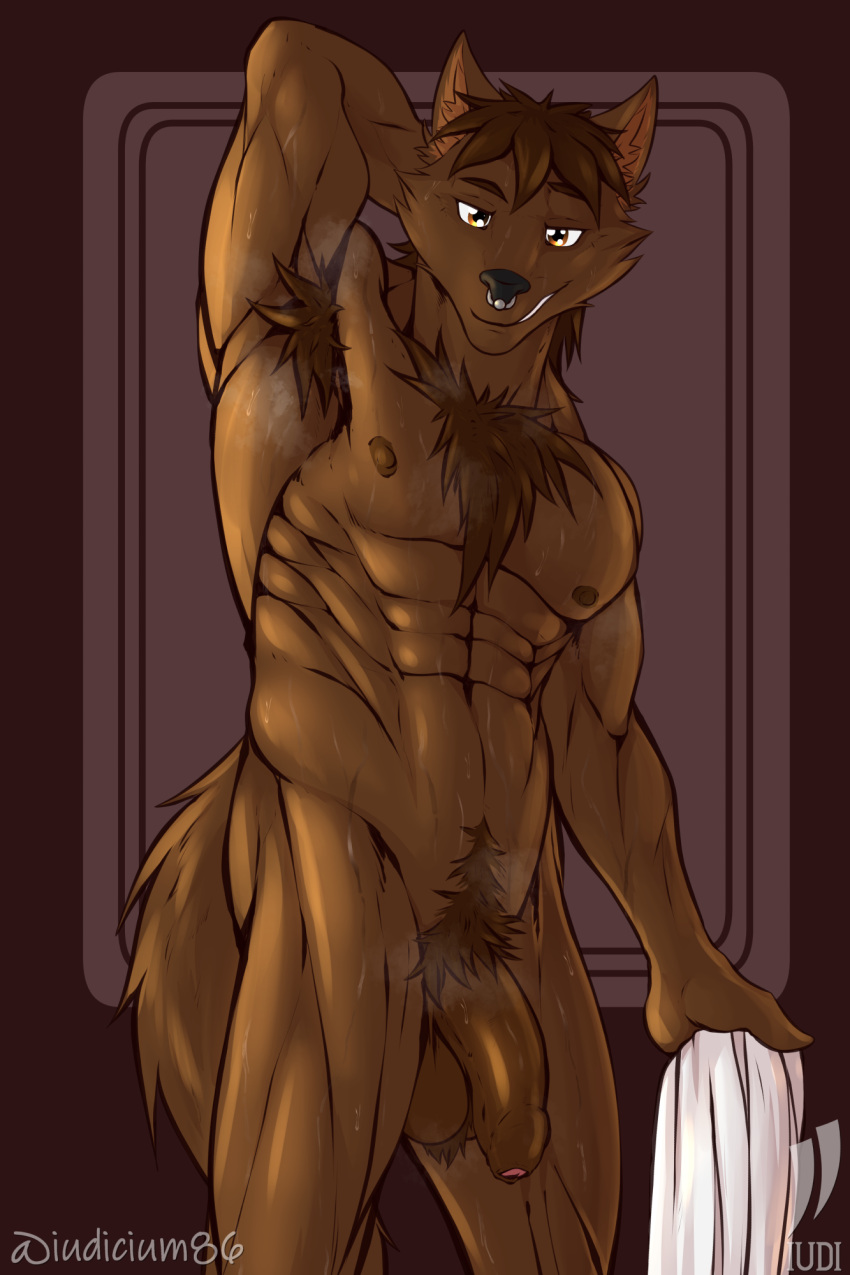 abs anthro armpit_hair bodily_fluids body_hair canid canine canis chest_tuft facial_piercing flaccid foreskin genitals hi_res iudicium86 male mammal mullet muscular musk musk_clouds nipples nose_piercing penis piercing pubes raised_arm solo sweat towel tuft wolf