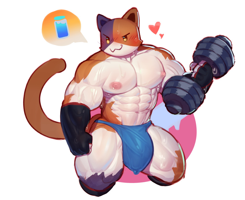 &lt;3 abs absurd_res anthro big_bulge big_muscles blush bodily_fluids bulge calico_cat clothing cydonia_xia domestic_cat dumbbell epic_games felid feline felis fingerless_gloves fortnite gloves handwear hi_res jockstrap kneeling looking_at_viewer male mammal meowscles muscular muscular_anthro muscular_male nipples obliques pecs smile solo sweat tricolor_fur underwear weights