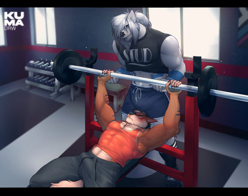 abs anthro bench_press biceps black_crop_top black_markings black_nose blush bottomwear brown_body brown_fur bulge canid canine canis clothing crop_top duo exercise fur genital_outline gym hair hi_res holding_object kumadrw lying lying_on_bench male mammal markings muscular muscular_anthro muscular_arms muscular_male on_back pants pecs penis_outline pyro29 shirt spotting tail topwear triceps weight_bench weightlifting weights white_body white_fur white_hair white_tail window wolf workout zuel_(ruugoole)