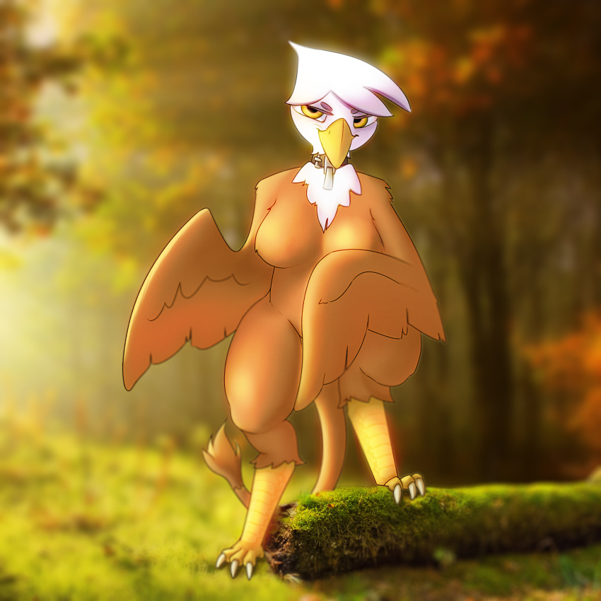 1:1 anthro avian breasts claws collar european_mythology female forest friendship_is_magic gilda_(mlp) greek_mythology gryphon harpy hasbro hi_res hybrid log moss my_little_pony mythological_avian mythology photo_background photo_manipulation photography_(artwork) plant ragingpacifist solo strategically_covered tree wood