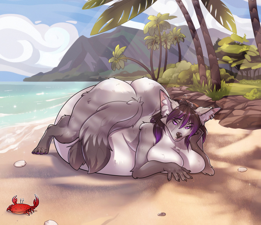 anthro arthropod beach belly big_belly canid canine canis cmitchell crab crustacean decapoda digestion female hi_res malacostracan mammal marine palm_tree piercing plant sea seaside solo tree vore water wolf