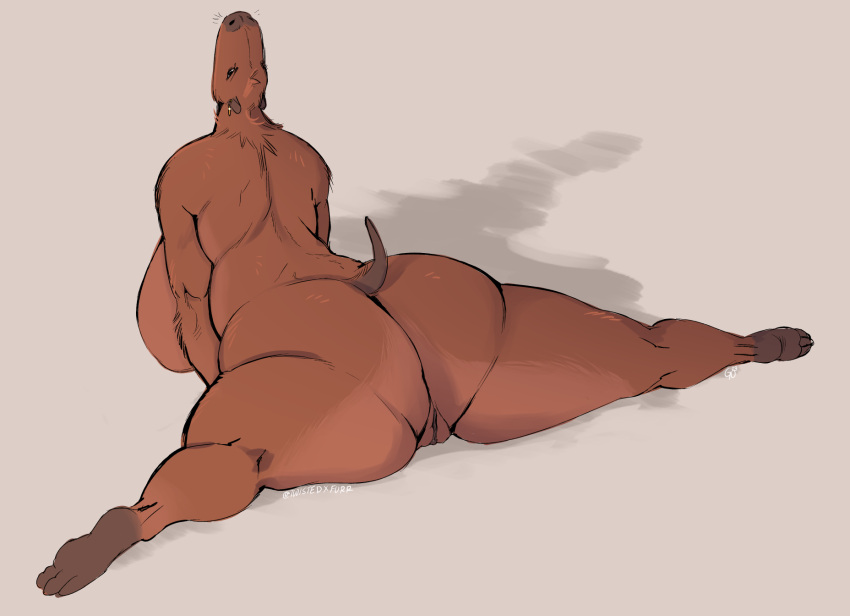 anthro big_breasts big_butt breasts brown_body brown_fur butt capybara caviid female flexible fur genitals hi_res huge_breasts huge_butt mammal nude pussy rear_view rodent simple_background solo splits spread_legs spreading thick_thighs twistedteeth upward_dog