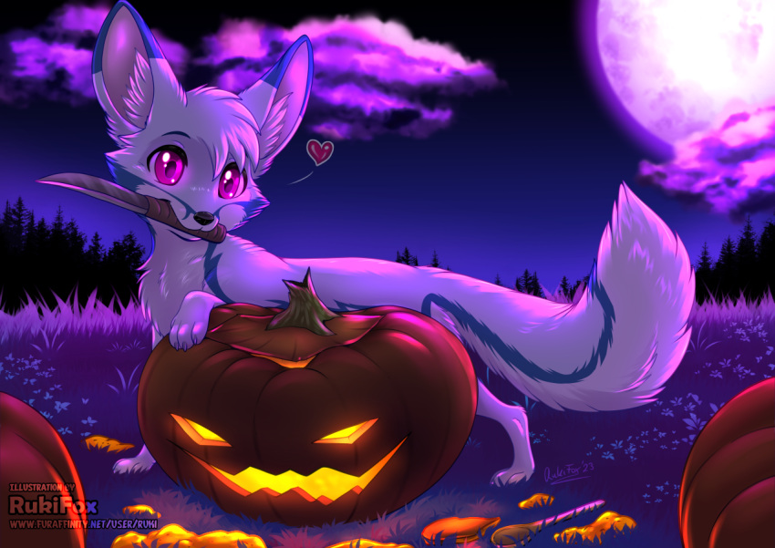 all_fours ambiguous_gender canid canine fennec feral food fox fruit fur halloween holidays jack-o'-lantern knife looking_at_viewer mammal moon outside plant pumpkin purple_eyes racefox rukifox solo white_body white_fur