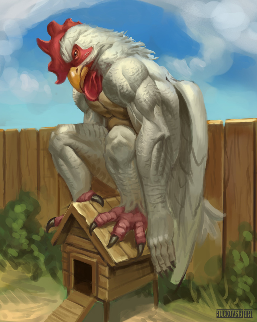 2023 absurd_res anthro avian beak biceps biped bird buckovskiart chicken chicken_coop cloud day digital_media_(artwork) feathered_wings feathers fence galliform gallus_(genus) grass hi_res male muscular muscular_anthro muscular_male muscular_thighs outside pecs phasianid plant pose quads sky solo talons thick_thighs vein veiny_muscles were wereavian werebird werechicken white_body white_feathers wings yellow_beak