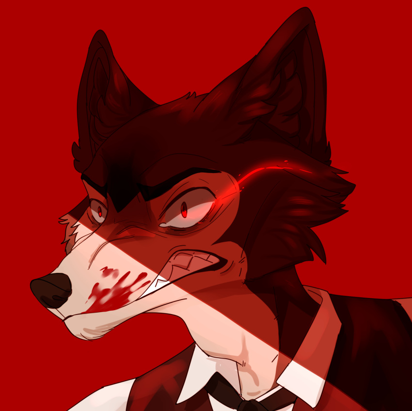 beastars blood furry highres legoshi red_background sharp_teeth teeth wolf