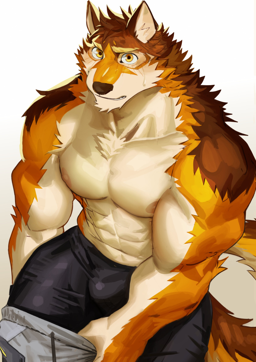 abs absurd_res anthro barrel barrel_(live_a_hero) biceps bulge canid canine canis clothing eyebrows hi_res lifewonders live_a_hero looking_at_viewer male mammal muscular muscular_anthro muscular_male pecs simple_background solo thick_eyebrows tokuni underwear white_background wolf