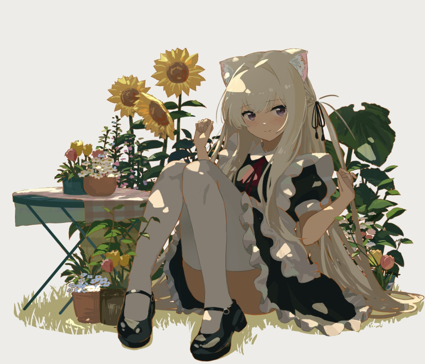 1girl animal_ear_fluff animal_ears apron black_dress black_ribbon blonde_hair closed_mouth dress flower frilled_apron frilled_dress frills hair_ribbon highres kgt_(pixiv12957613) knees_together_feet_apart knees_up lion_ears looking_at_viewer maid maid_apron mary_janes neck_ribbon one_side_up original plant puffy_short_sleeves puffy_sleeves purple_eyes red_ribbon ribbon shoes short_sleeves sitting smile sunflower thighhighs white_apron white_thighhighs