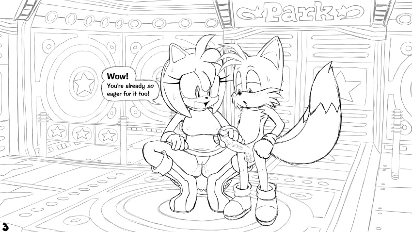 absurd_res amy_rose bodily_fluids bottomless clothed clothing comic erection excito female genital_fluids genitals handjob hi_res male male/female miles_prower partially_clothed penile penis pussy pussy_juice sega sex sonic_the_hedgehog_(series) speech_bubble sweat sweatdrop text twinkle_park