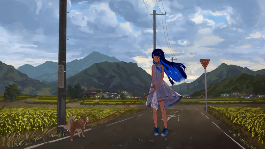 1girl absurdres bag black_hair black_ribbon blue_dress blue_eyes blue_footwear blue_hair blue_ribbon blush cevio city_lights closed_mouth cloud cloudy_sky colored_inner_hair dress expressionless field floating_hair futaba_minato gradient_neck_ribbon hair_ornament hairclip highres holding holding_bag holding_leash layered_dress leash looking_to_the_side mountainous_horizon multicolored_hair outdoors own_hands_together pet_walking ribbon road road_sign scenery shiba_inu shiyomifu shoes sign single_sidelock sky sleeveless sleeveless_dress sneakers solo standing stop_sign sundress town translation_request transmission_tower trowel two-tone_dress utility_pole v_arms white_dress wide_shot