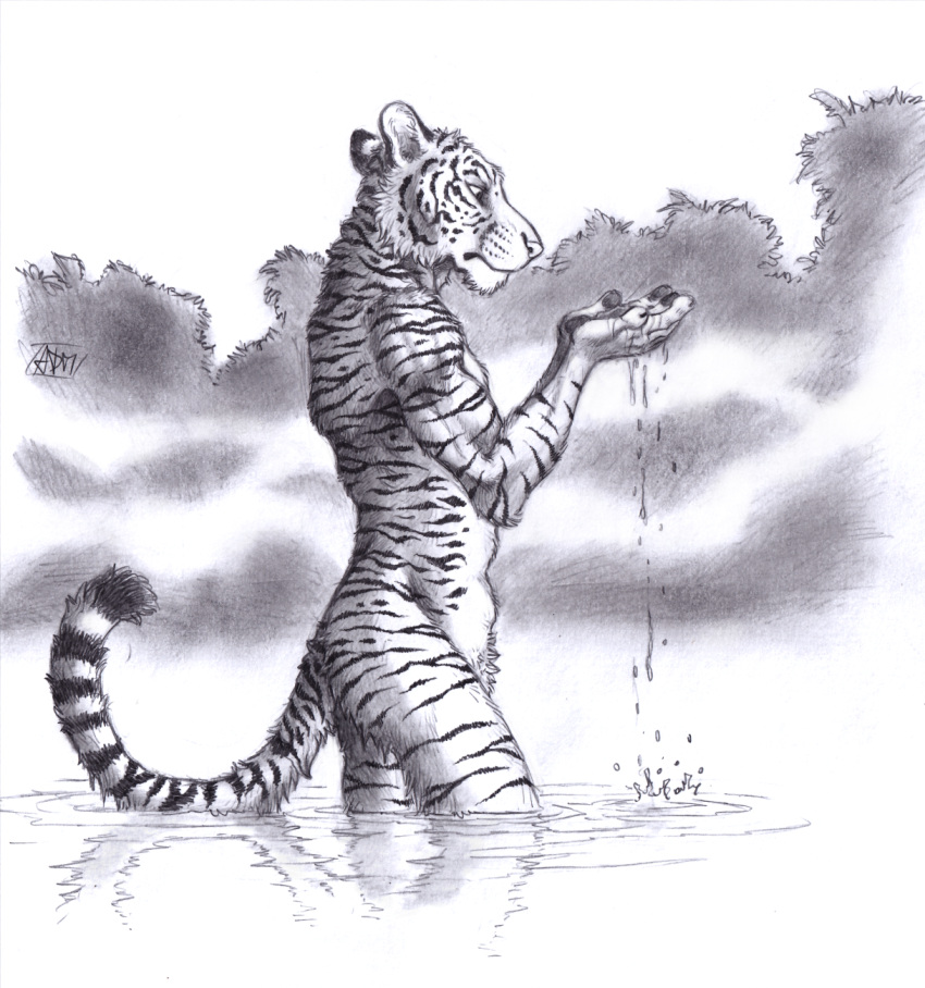 0laffson anthro clothing felid hi_res male mammal monochrome nude pantherine pawpads solo tiger water