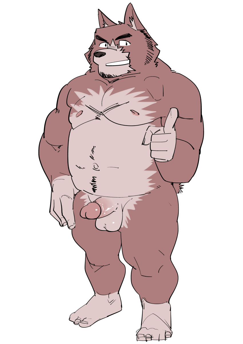 2023 absurd_res anthro balls black_nose brown_body canid canine canis domestic_dog erection genitals hi_res humanoid_genitalia humanoid_hands humanoid_penis kemono male mammal moobs musclegut nipples penis simple_background slightly_chubby solo ujishiyo white_background