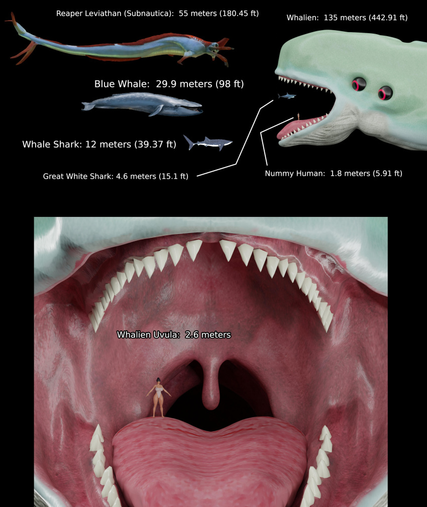 absurd_res ambiguous_gender baleen_whale cetacean chart comparing female feral fish great_white_shark group hi_res human lamnid lamniform mammal marine mike37 reaper_leviathan_(subnautica) shark size_chart size_difference uvula vore whalien