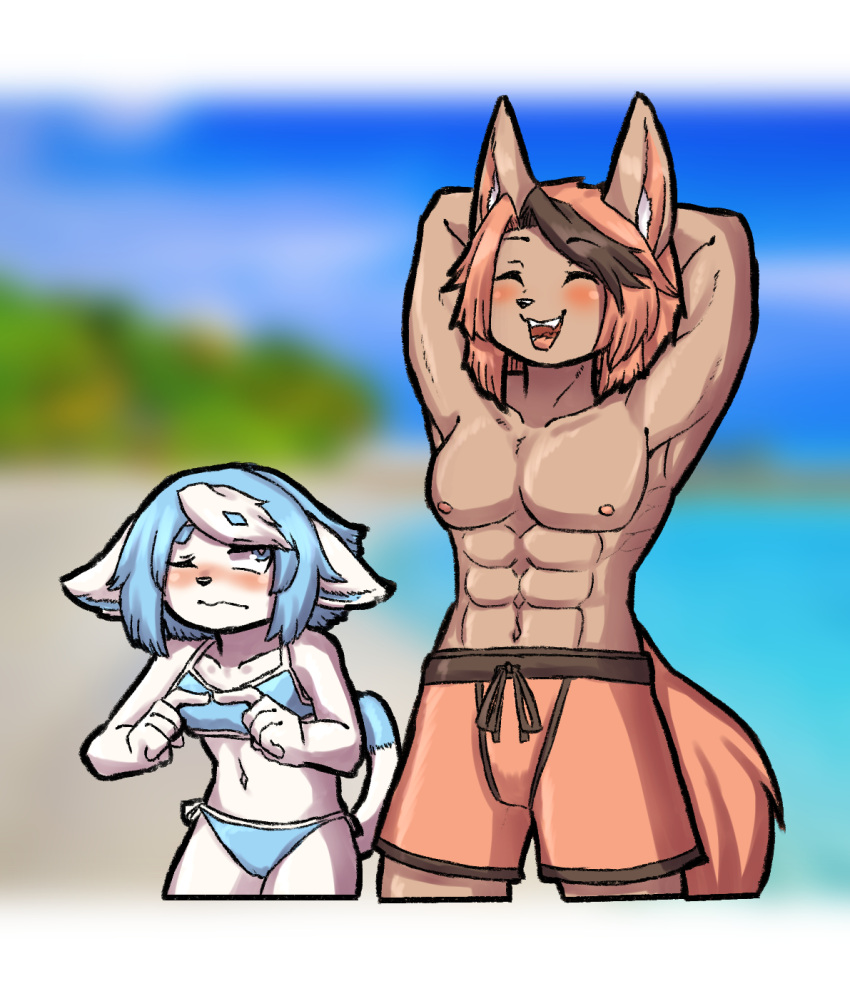 abs anthro beach bikini blue_eyes blush brother brother_and_sister brown_body clothing duo embarrassed female happy hi_res kiguna_(komenuka_inaho) komenuka_inaho larger_male looking_at_another male mammal muscular muscular_male seaside shy sibling sido_(komenuka_inaho) sister size_difference smaller_female swimwear white_body