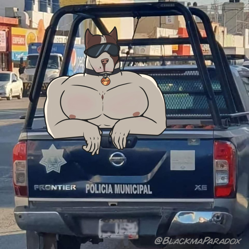 anthro big_pecs blackma_paradox canid canine canis car domestic_dog edited_photo eyewear goggles hi_res humor male mammal muscular muscular_male pecs pit_bull police police_car solo vehicle