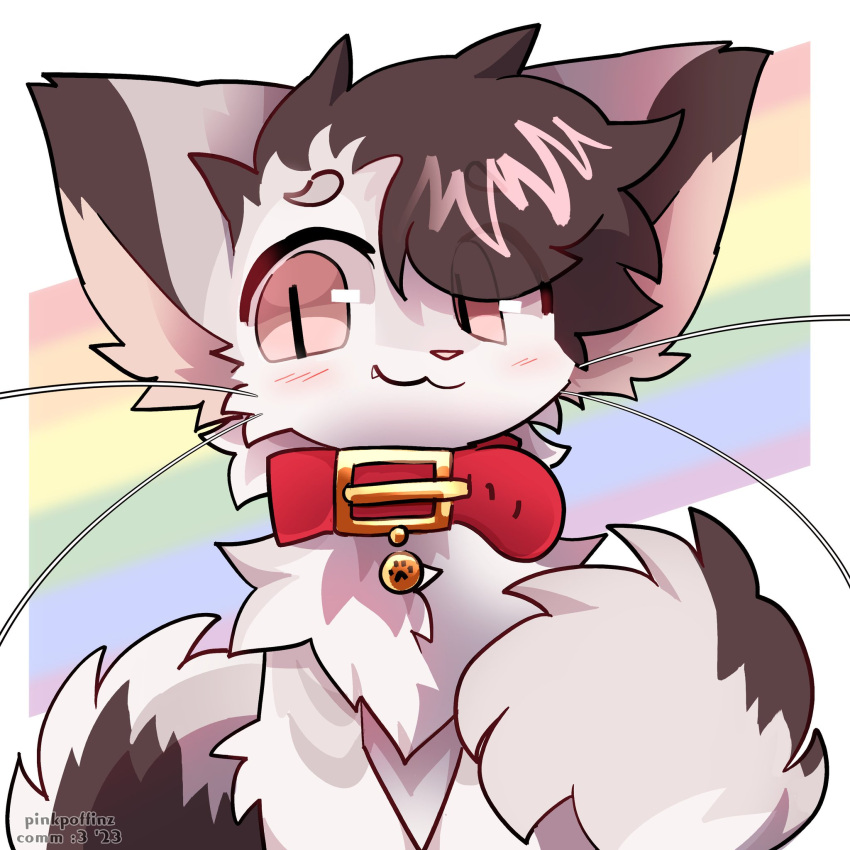 1:1 2023 :3 anthro blush blush_lines collar cute_fangs digital_media_(artwork) domestic_cat felid feline felis fluffy fur girly hair hi_res icon kemono lgbt_pride looking_at_viewer male male_anthro mammal multicolored_body multicolored_fur multicolored_tail pinkpoffinz portrait pride_colors rainbow_pride_colors solo tail whiskers