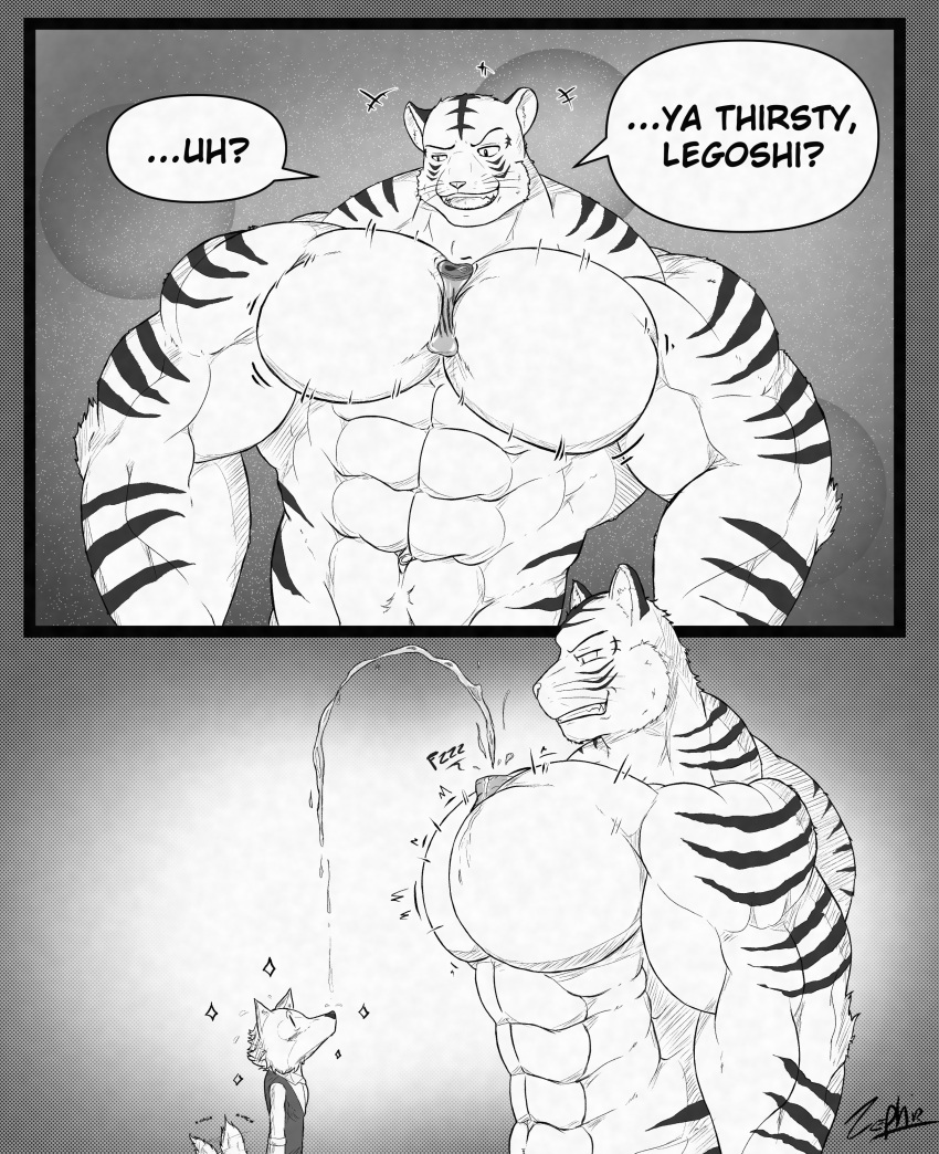 abs absurd_res anthro beastars bengal_tiger biceps big_muscles bill_(beastars) bouncing_pecs canid canine canis clothed clothing digital_media_(artwork) duo felid flexing hi_res legoshi_(beastars) male mammal muscular muscular_anthro muscular_male pantherine pecs simple_background size_difference smile standing tiger topless wolf zephir
