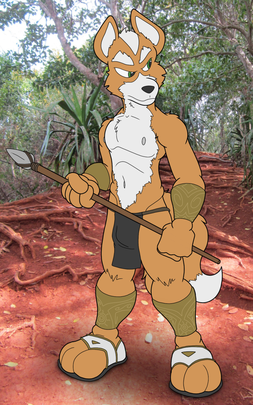 anthro black_bottomwear black_clothing black_loincloth black_nose bottomwear bulge canid canine clothing footwear forest fox fox_mccloud fur green_eyes grey_clothing grey_footwear grey_sandals hi_res how-did-we-get-here jungle loincloth male mammal melee_weapon navel nintendo nipples orange_body orange_fur outside plant polearm sandals solo spear staff star_fox tree weapon white_body white_fur