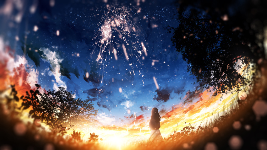1girl absurdres blue_sky blurry blurry_foreground brown_hair cloud commentary_request field fireworks forest from_behind furi0831 grass highres long_hair nature original scenery silhouette sky solo standing star_(sky) starry_sky sunset tree twilight