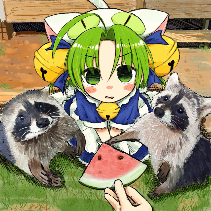 1girl 1other ahoge animal animal_ears bell blue_dress blush bubbacterial dejiko di_gi_charat dress food gloves grass green_eyes green_hair hair_bell hair_ornament hat highres holding jingle_bell looking_at_viewer neck_bell pov raccoon short_sleeves sitting solo_focus white_gloves