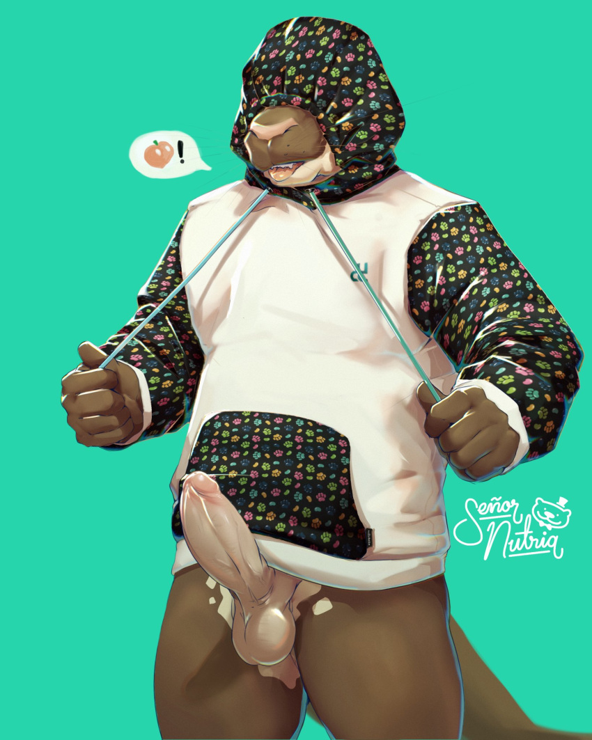 2023 anthro balls big_penis blep bottomless clothed clothing covered_eyes drawstring drawstring_hoodie erection furry-specific_brand genitals giant_otter hi_res hood_up hoodie hoodie_only humanoid_genitalia humanoid_penis lewd_symbolism male mammal mustelid otter penis pictographics portrait river_otter signature simple_background skrawl solo standing tail teal_background three-quarter_portrait tongue tongue_out topwear topwear_only
