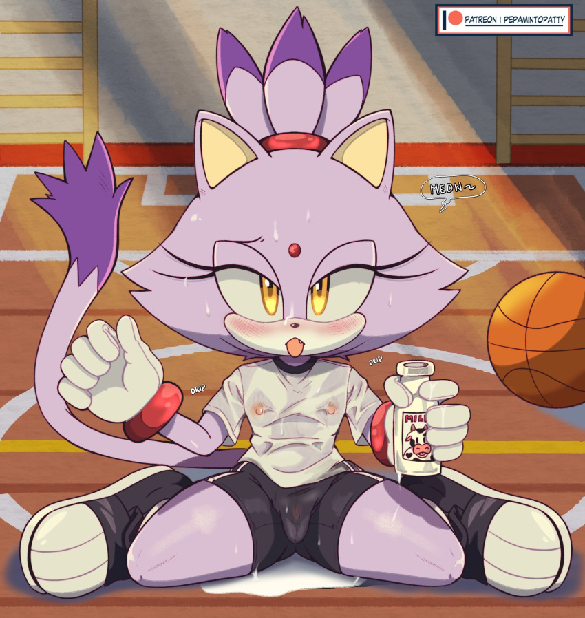 2023 anthro ball basketball_(ball) blaze_the_cat blush camel_toe clitoris clothing english_text female flat_chested genitals gym hi_res looking_back milk nipples pepamintop sega sitting solo sonic_the_hedgehog_(series) sportswear text tongue tongue_out translucent translucent_clothing wet wet_clothing