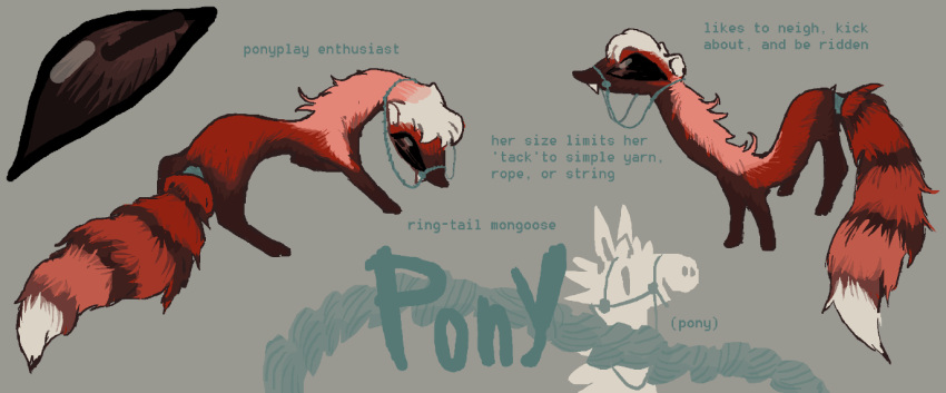 2n2n ambiguous_gender anthro character_name english_text euplerid mammal model_sheet petplay ponyplay ring-tailed_vontsira roleplay solo text vontsira