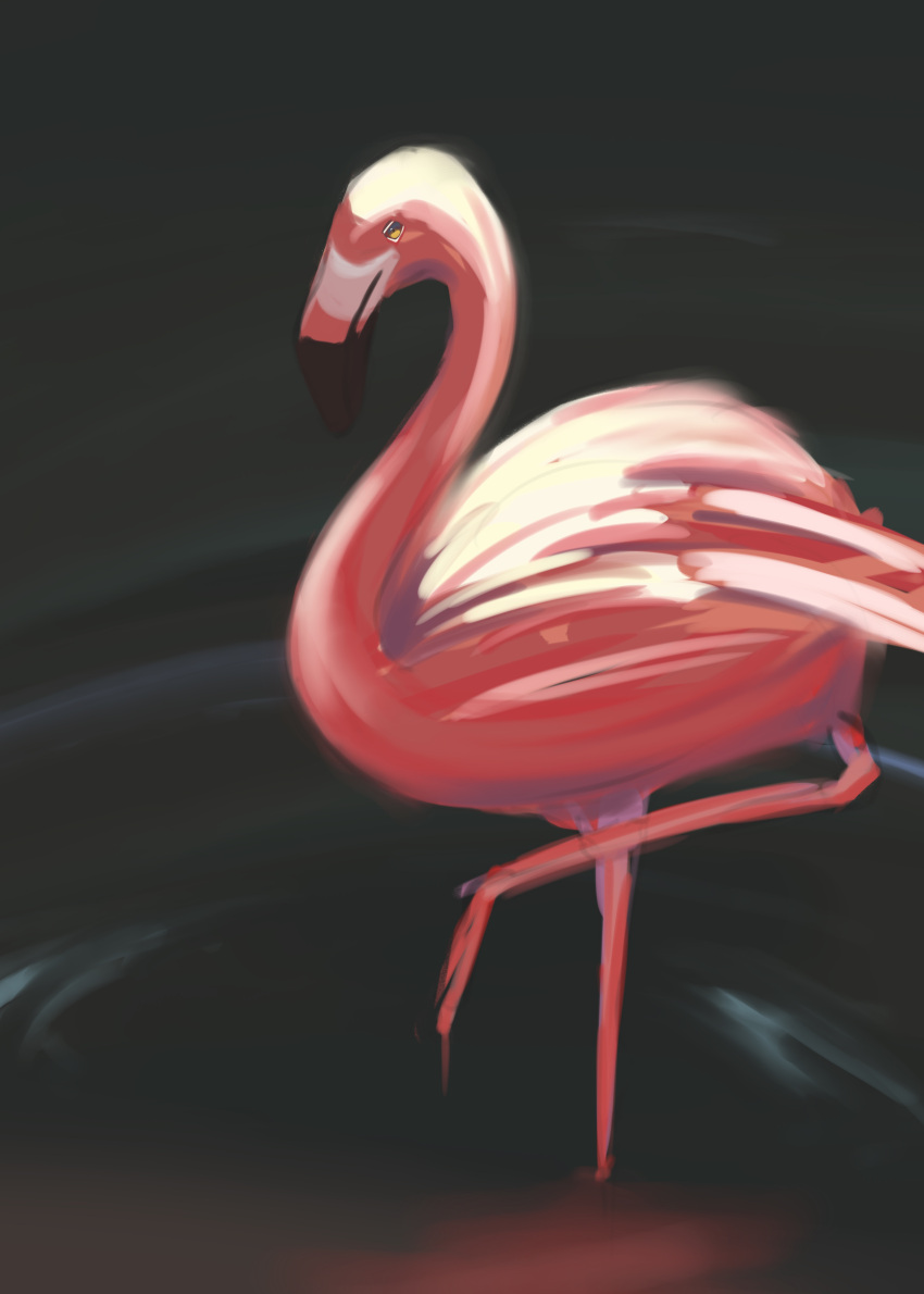 absurdres animal animal_focus beak bird feathers flamingo highres leg_lift no_humans original partially_submerged pink_feathers potatomochii soaking_feet standing standing_on_one_leg water