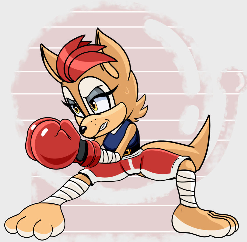 absurd_res anthro blue_archer_(artist) bodily_fluids boxers_(clothing) clothing colored fan_character female fighting_pose hi_res kangaroo macropod mammal marsupial pose sega simple_background solo sonic_the_hedgehog_(series) sweat tomboy underwear