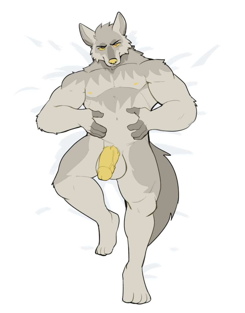 2023 anthro balls canid canine fur genitals grey_body grey_fur hi_res jrjresq looking_at_viewer male mammal multicolored_body multicolored_fur nipples nude penis solo two_tone_body two_tone_fur yellow_eyes yellow_nipples yellow_penis yellow_sclera