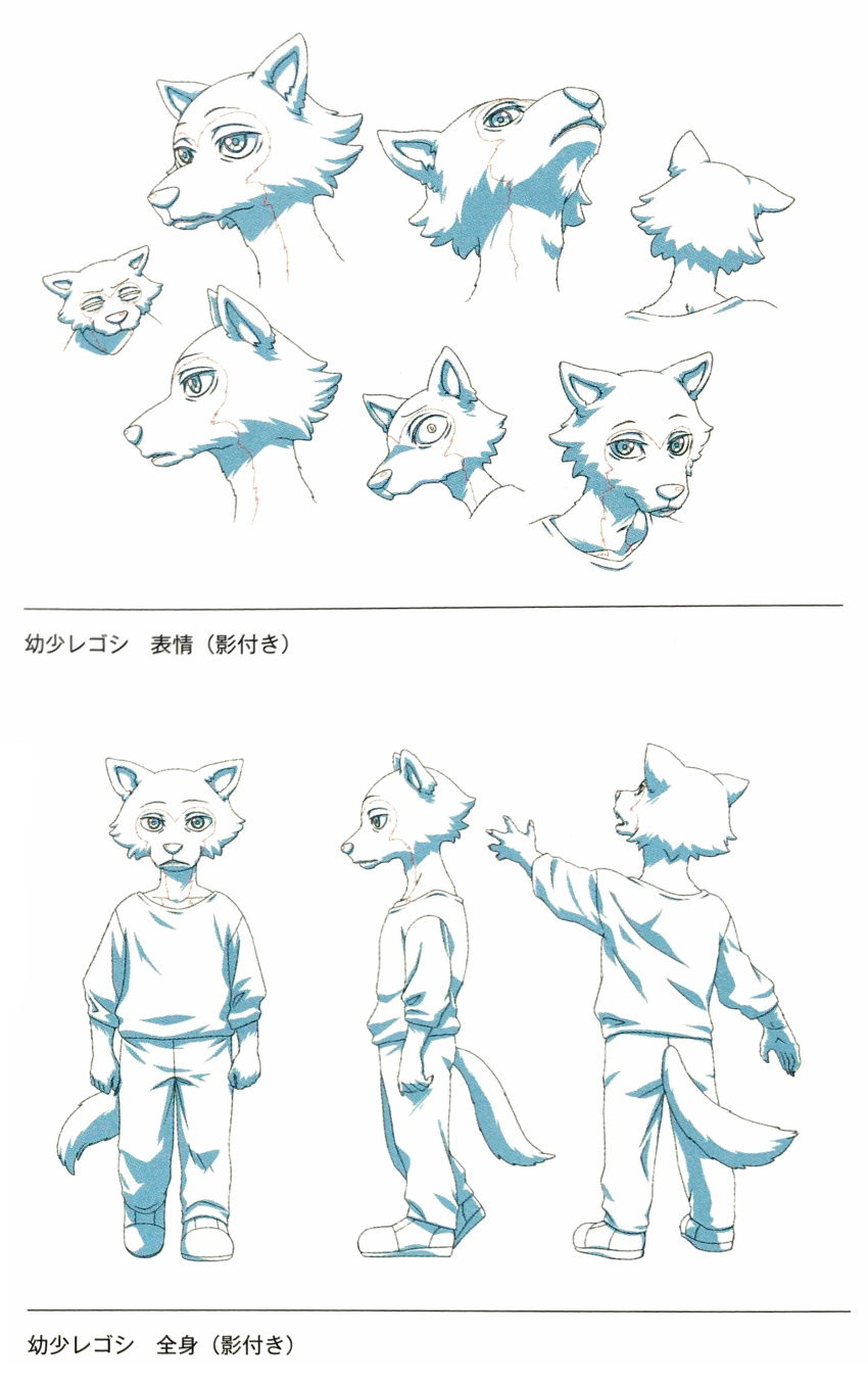 3d_(artwork) absurd_res anthro beastars canid canine canis child clothed clothing dark_side digital_media_(artwork) front_view head_back hi_res humanoid japanese_text legoshi_(beastars) look_up looking_at_viewer making_of_beastars male mammal official_art orange_co. raised_head reaching reaching_out scared side_view simple_background sketch sketch_page solo text tired unknown_artist white_background wolf young