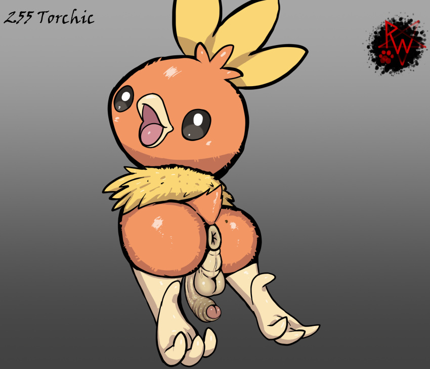 4_toes anus avian avian_feet backsack balls beak big_butt big_penis biped bird butt darkened_genitalia digital_media_(artwork) feathers feet feral foreskin fuzzy generation_3_pokemon genitals hi_res humanoid_genitalia humanoid_penis looking_at_viewer looking_back male nintendo open_mouth orange_body penis pokemon pokemon_(species) presenting puffy_anus rapistwerewolf rear_view simple_background smile soles solo tail tail_feathers toes torchic