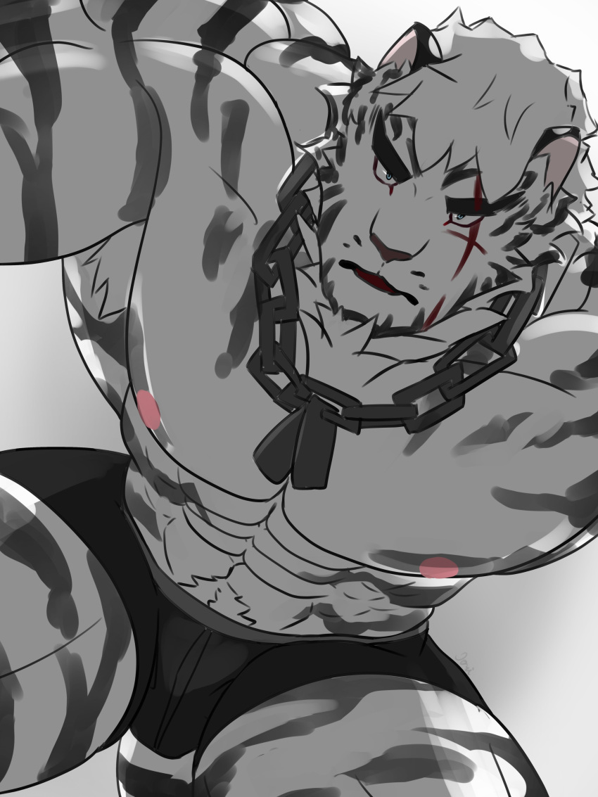 1boy abs absurdres animal_ears arknights artist_request bara black_male_underwear boxers bulge facial_hair feet_out_of_frame frown furry furry_male goatee highres large_pectorals leaning_forward looking_at_viewer male_focus male_underwear mountain_(arknights) muscular muscular_male nipples pectorals pov scar scar_across_eye short_hair solo stomach thick_eyebrows thick_thighs thighs tiger_boy tiger_ears topless_male underwear white_hair
