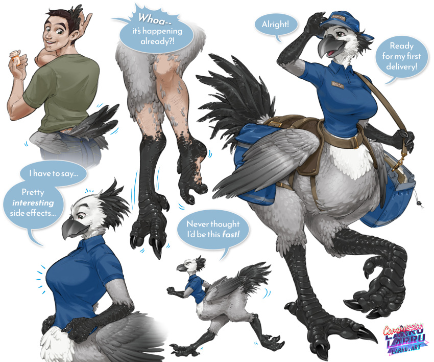 absurd_res avian avian_feet beak black_body black_feathers bottomless breast_growth breasts chocobo clothed clothing delivery_(commerce) delivery_employee feather_growth feathers final_fantasy furgonomics gender_transformation grey_body grey_feathers growth hat headgear headwear hi_res human larru-larru mail mammal name_tag partially_clothed polo_shirt postal_carrier postal_delivery running saddle_bag shirt simple_background square_enix taur topwear transformation white_background white_body white_feathers