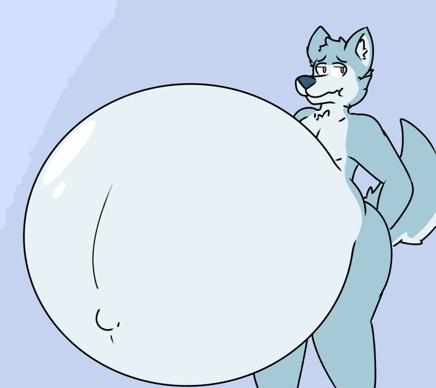 anthro belly belly_inflation big_belly canid canine canis fernkarry fernkarrythewolf hi_res inflation male mammal solo uzaruza wolf