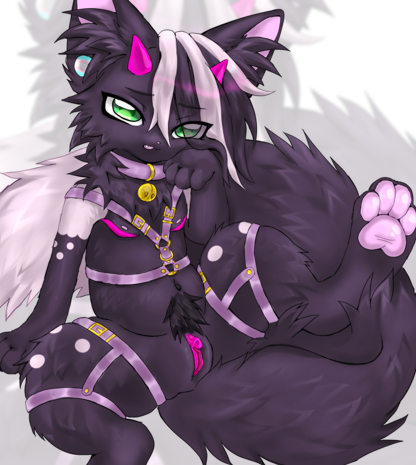 2023 absurd_res anthro bell bell_collar big_tail black_pubes collar cute_fangs digital_media_(artwork) domestic_cat ear_piercing felid feline felis female fur genitals green_eyes harness hi_res hindpaw horn kemono lgbt_pride magenta_horn magenta_pussy mammal open_mouth pawpads paws piercing pink_pawpads pride_colors pride_pin pubes purple_body purple_collar purple_fur purple_harness pussy scar somberpaw spread_legs spreading tail trans_(lore) trans_man_(lore) transgender_pride_colors two_tone_tail