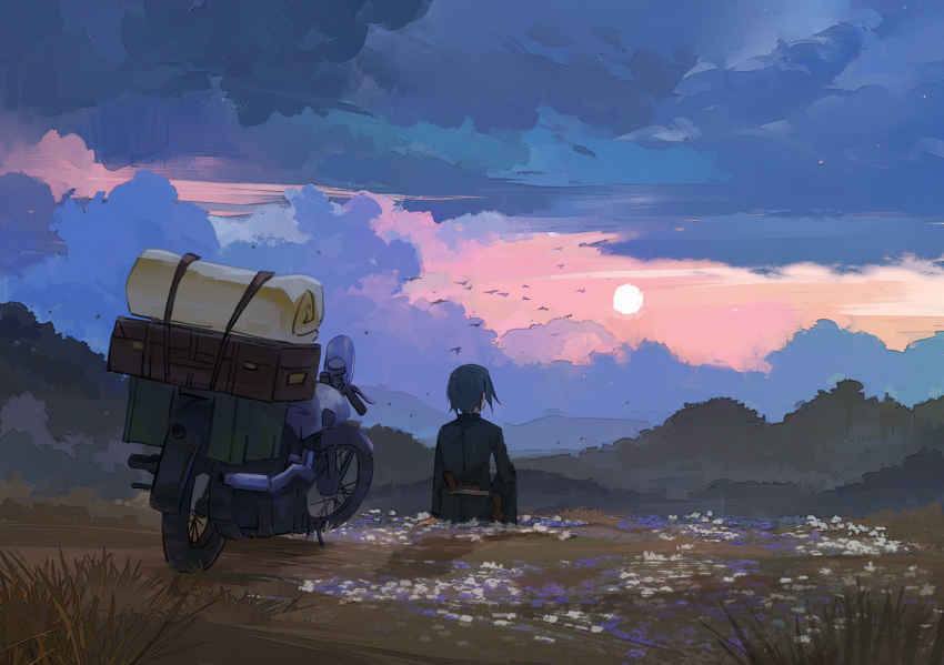 1girl androgynous axleaki bird black_jacket cloud cloudy_sky commentary field from_behind grass green_hair hermes_(kino_no_tabi) highres jacket kino_(kino_no_tabi) kino_no_tabi landscape motor_vehicle motorcycle outdoors scenery short_hair sitting sky sunset