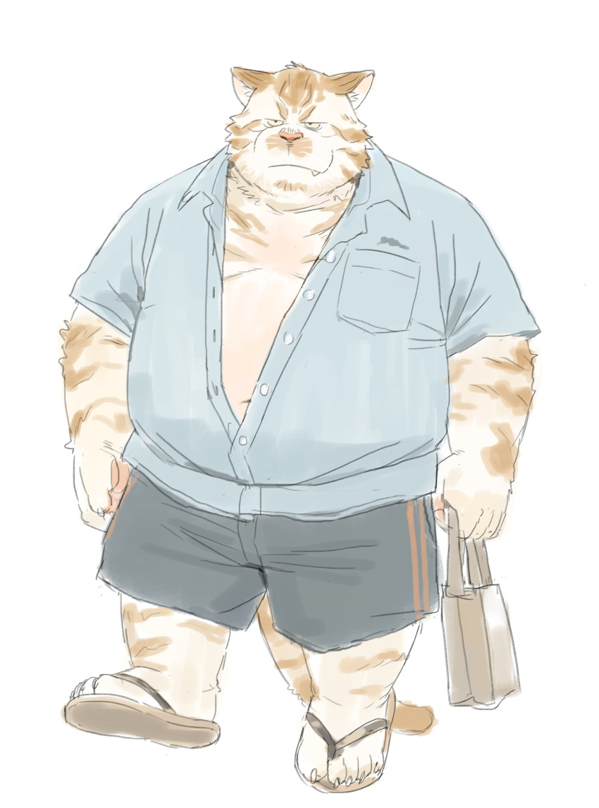 2023 absurd_res anthro belly bottomwear clothing cute_fangs domestic_cat felid feline felis footwear hi_res huynhduyad14 kemono male mammal overweight overweight_male sandals shirt shorts solo topwear walking