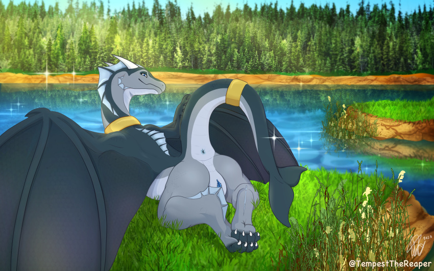 absurd_res dam day detailed_background dragon feet female feral hi_res lake lying mature_female on_front outside relaxing river scalie solo tempest_the_reaper waterdragon whaletail wings