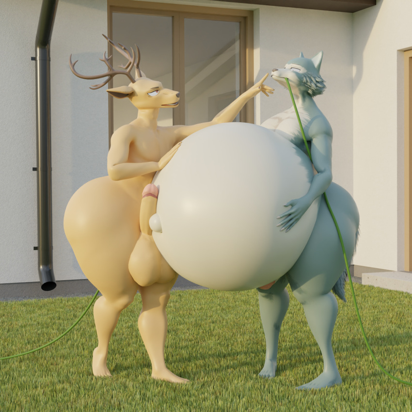 1:1 anthro balls beastars belly belly_expansion belly_inflation big_balls big_penis blender_(software) bloated brown_body brown_fur building butt butt_expansion canid canine canis deer duo expansion fernkarrythewolf from_front_position fur genitals grass green_body green_fur hand_on_stomach hi_res hose_in_butt hose_in_mouth hose_inflation house huge_balls huge_belly huge_hips huge_penis huge_thighs inflation legoshi_(beastars) liquid_inflation looking_at_another looking_at_partner looking_down looking_pleasured looking_up louis_(beastars) male male/male mammal navel nude outdoor_nudity outside penis penis_on_belly plant size_difference smaller_male taller_male thick_thighs wolf