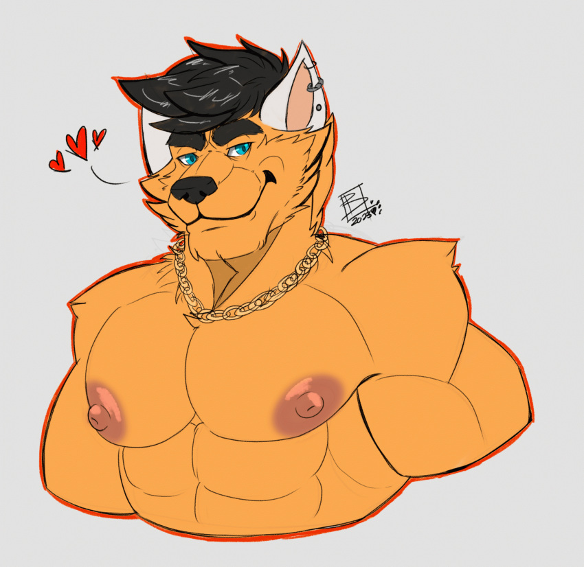 abs accessory anthro bella_vanguard breasts canid canine clothed clothing dragoonie ear_piercing gold_(metal) gold_jewelry hi_res jewelry male mammal maned_wolf muscular pecs piercing smile solo topless topless_male