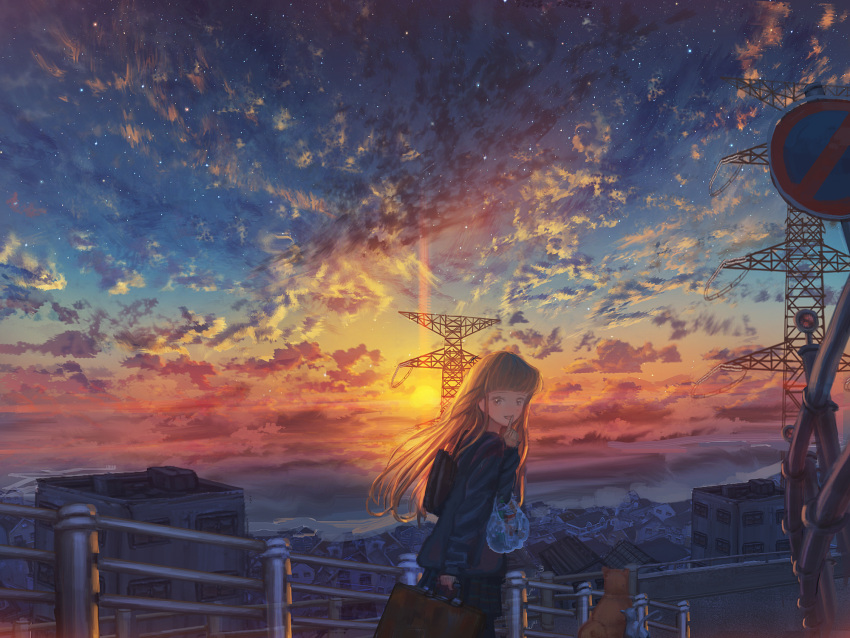 1girl bag blonde_hair building city cloud cloudy_sky commentary_request dog fence highres kenzo_093 long_hair long_sleeves looking_at_viewer original outdoors road road_sign scenery shopping_bag sign skirt sky solo star_(sky) starry_sky street sunset transmission_tower yellow_eyes