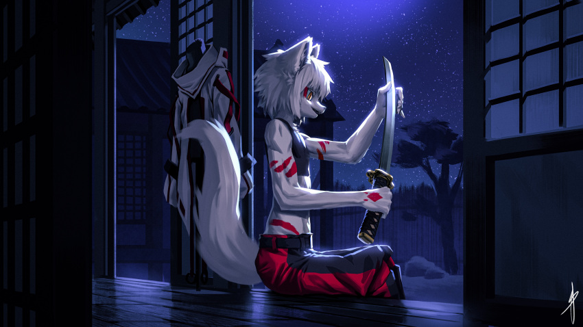 absurd_res anthro arctic_fox athletic athletic_male belt biceps black_crop_top bottomwear canid canine clothing coat crop_top detailed_background fox hair hi_res holding_katana holding_object holding_sword holding_weapon japanese katana light male mammal melee_weapon midriff moonlight night open_mouth open_smile orange_eyes pants plant portrait raised_tail red_stripes shirt side_view sitting sky smile solo star starry_sky stripes sword tail topwear tree unknown_artist weapon white_clothing white_coat white_hair white_topwear wood_fence yeye_(mceastnight)