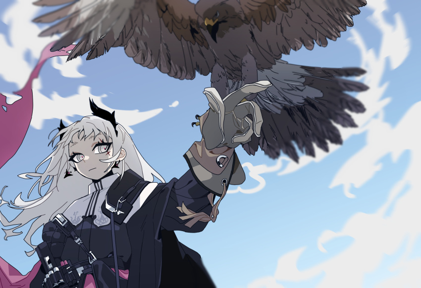 1girl ammunition_belt arknights belt bird black_jacket blue_sky capelet closed_mouth cloud earrings falconry falconry_glove from_below gloves highres irene_(arknights) jacket jewelry long_hair long_sleeves ringed_eyes scar scar_across_eye short_bangs sidelocks sky upper_body very_long_hair white_capelet white_eyes white_gloves white_hair xity