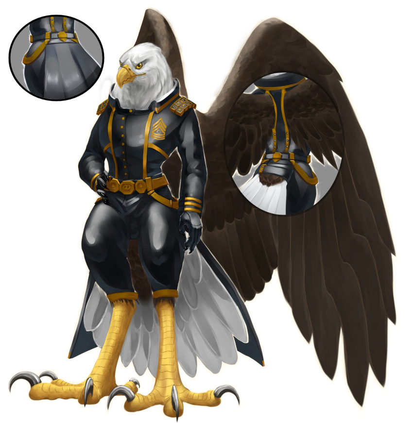 2023 absurd_res accipitrid accipitriform alcander anthro athletic avian avian_feet award bald_eagle beak bird black_claws black_clothing bottomwear brown_body brown_feathers claws clothing cutaway dsw7 eagle feathered_wings feathers gloves gold_(metal) gold_belt gold_trim hand_on_hip handwear hi_res leather leather_clothing leather_gloves leather_handwear male medal pants scales sea_eagle shirt solo tail_feathers talon_hands talons topwear white_body white_feathers wings yellow_body yellow_eyes yellow_scales