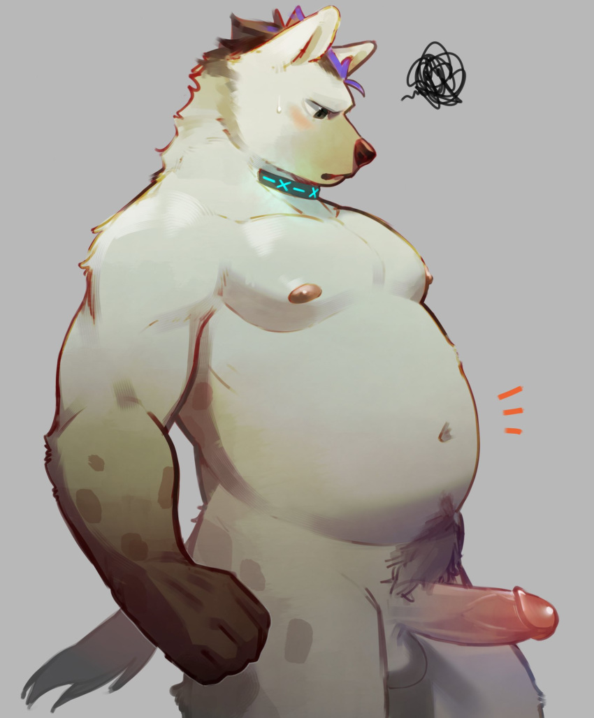 2023 anthro areola arknights balls belly black_hair blush collar collar_only erect_nipples erection fur genitals grey_body grey_fur hair hi_res humanoid_genitalia humanoid_penis hyena hypergryph male mammal nipples nude overweight overweight_anthro overweight_male penis pink_penis pluto08010511 pu94_d1de4c pubes solo spot_(arknights) spots spotted_body spotted_fur spotted_hyena studio_montagne