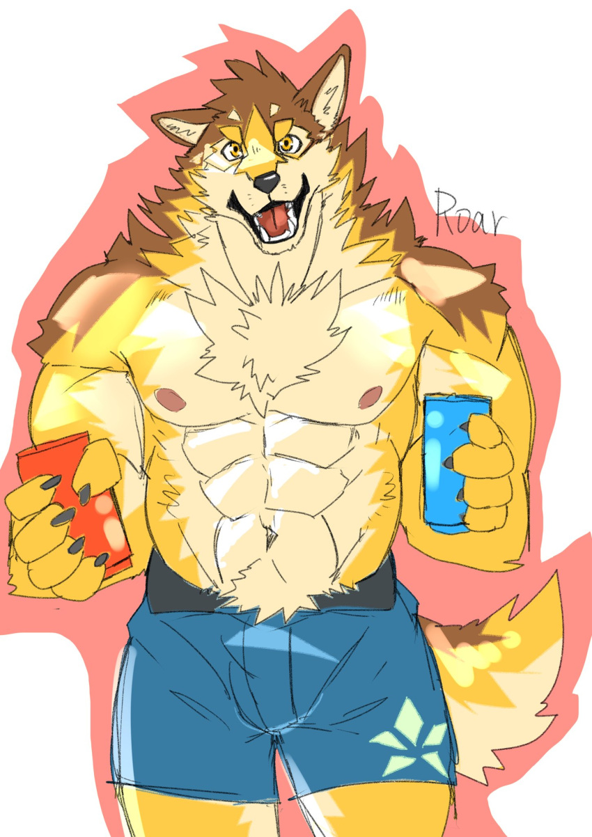 abs anthro barrel_(live_a_hero) brown_body brown_fur canid canine canis canned_drink chest_tuft clothing fur hi_res lifewonders live_a_hero male mammal muscular muscular_anthro muscular_male nipples pecs roarwolf shirtless solo tuft underwear wolf
