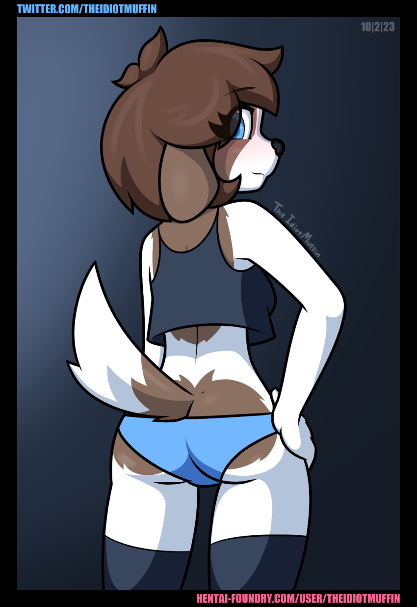 anthro beagle blue_clothing blue_eyes blue_panties blue_underwear blush brown_body brown_fur brown_hair butt camisole canid canine canis clothing domestic_dog female fur hair hand_on_hip hi_res hunting_dog legwear looking_back mammal panties rear_view sam_(theidiotmuffin) scent_hound signature simple_background solo text theidiotmuffin thigh_gap thigh_highs underwear url white_body white_fur